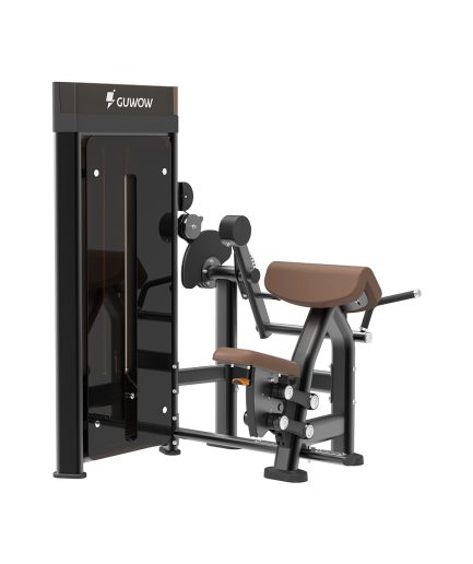 Biceps & Triceps Machine
