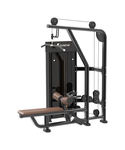 Lat Pulldown&Low Row