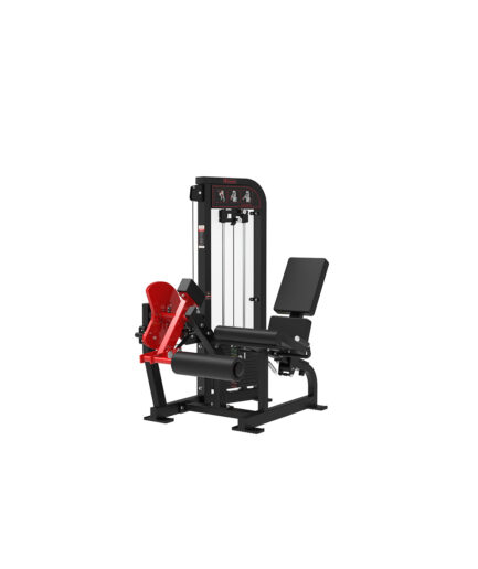 Seated Leg Extension