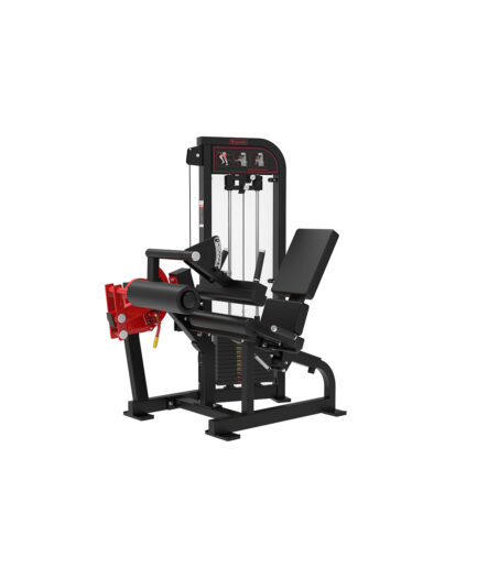 Seated Leg Curl