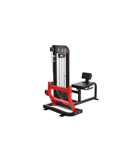 Seated Calf