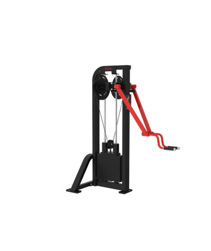 Standing Lateral Raise