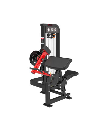Biceps & Triceps Machine