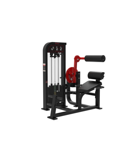 Back & Abdominal Machine
