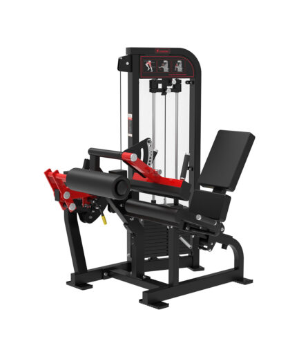 Seated Leg Curl&Extension