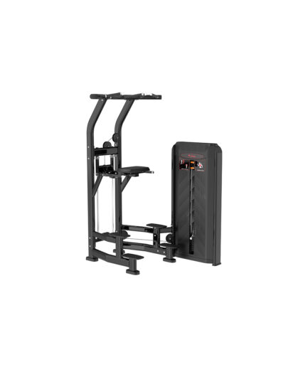 Dip and chin assist training machine