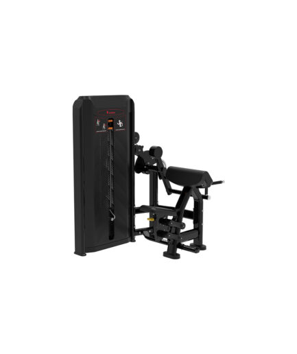 Biceps & Triceps Machine