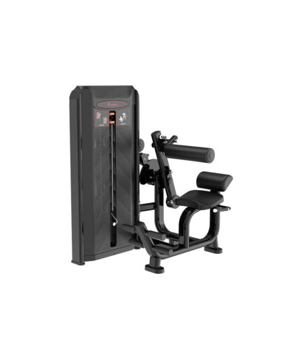 Back & Abdominal Machine