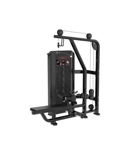 Lat Pulldown&Low Row