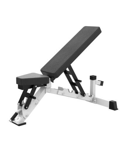 Adjustable dumbbell bench