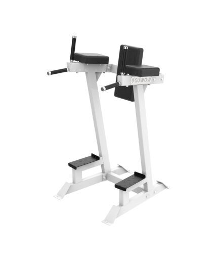 Leg Raise