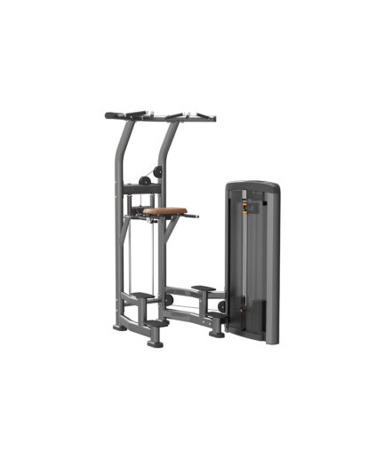 Dip and chin assist training machine