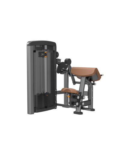 Biceps & Triceps Machine