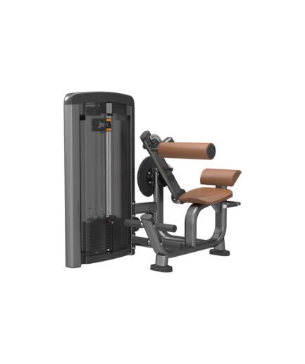 Back & Abdominal Machine