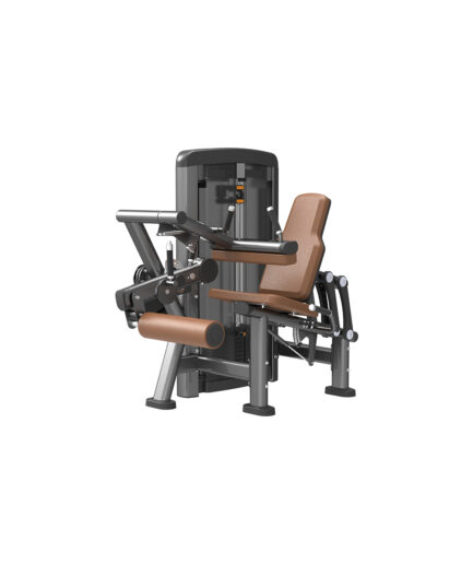 Leg Curl&Extension