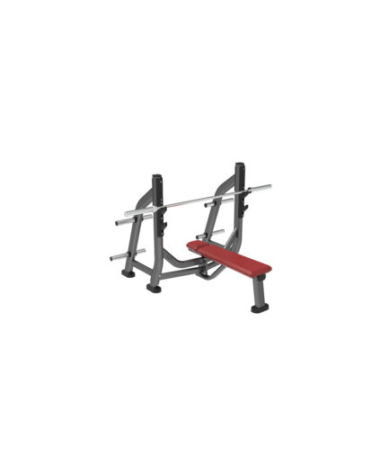 Olympic Bench with Weight Storage