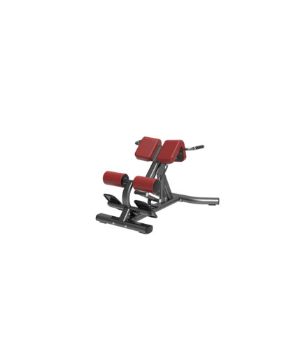 Roman chair
