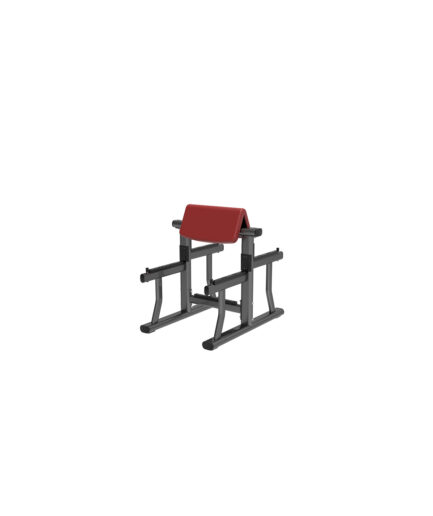 Biceps bench