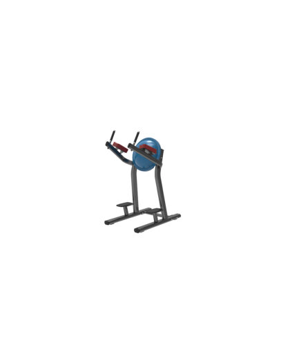 Leg Raise