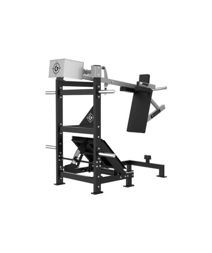 Pendulum squat trainer